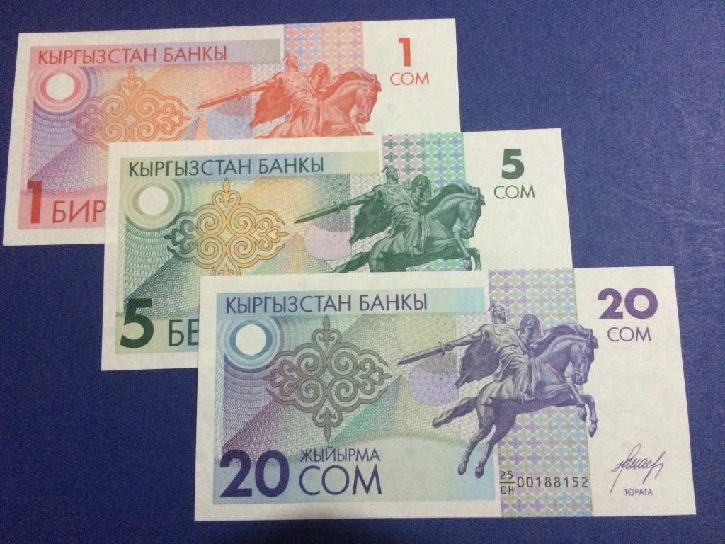 Купюры сом. 20 Сом Кыргызстан. Валюта Кыргызстана купюры 20 сом. Купюра 1 сом Киргизия. Национальная волюта Кыргызстана.