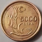 Турция  5000 лир  1995 года. 